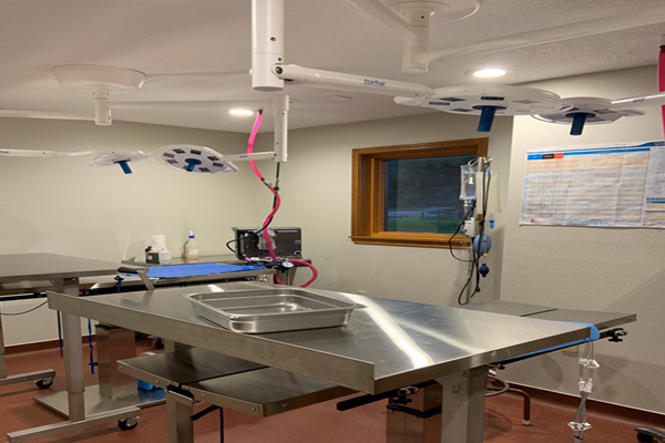 Mcdowell Construction